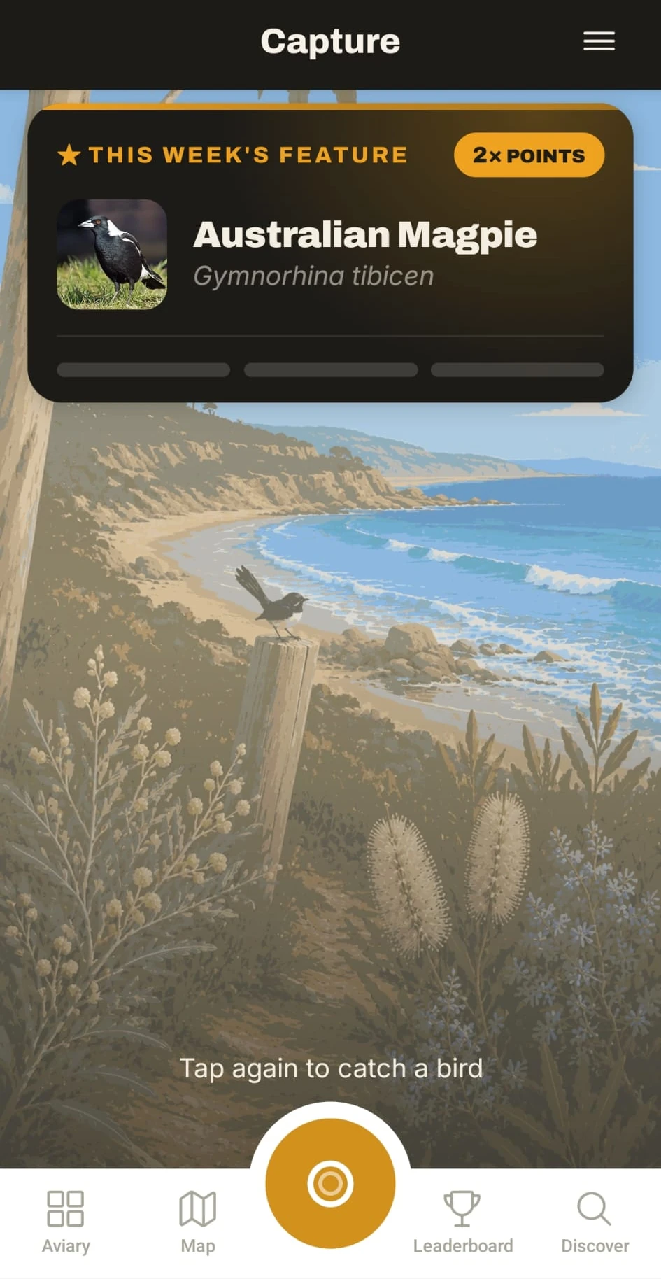 The Lifer capture screen — a painterly coastal scene with the feature-species card and wattle shutter button